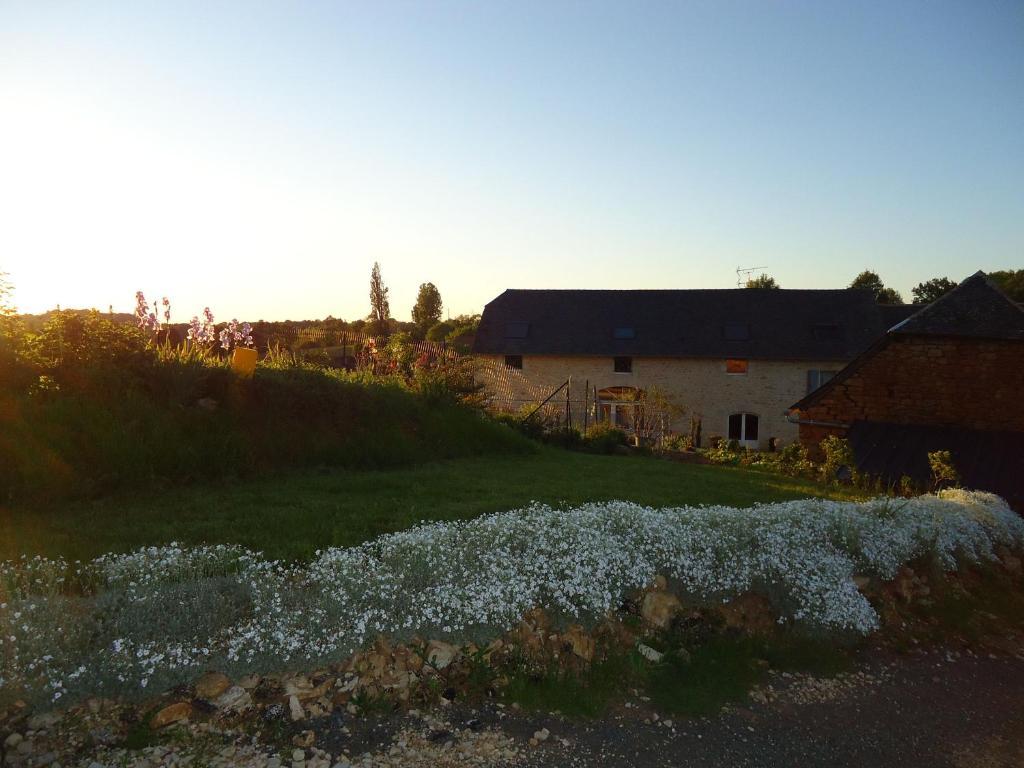 Maison D'Hotes La Maison De Leopold Terrasson Екстериор снимка
