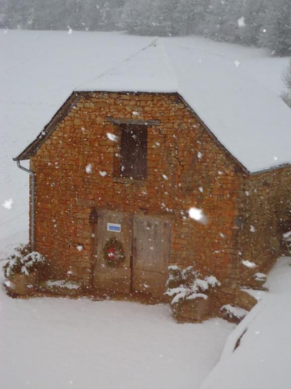 Maison D'Hotes La Maison De Leopold Terrasson Екстериор снимка